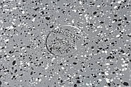 Алюмінієва сковорода 28см з багатошаровим антипригарним покриттям Ardesto Alcor Сіра (AR0928A), фото 3