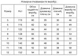 Вишиванка для хлопчика "Ярослав" жовто-зелено-червона, фото 5