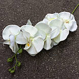 Орхідея гілка фаленопсис світла сатин 105 см, фото 2