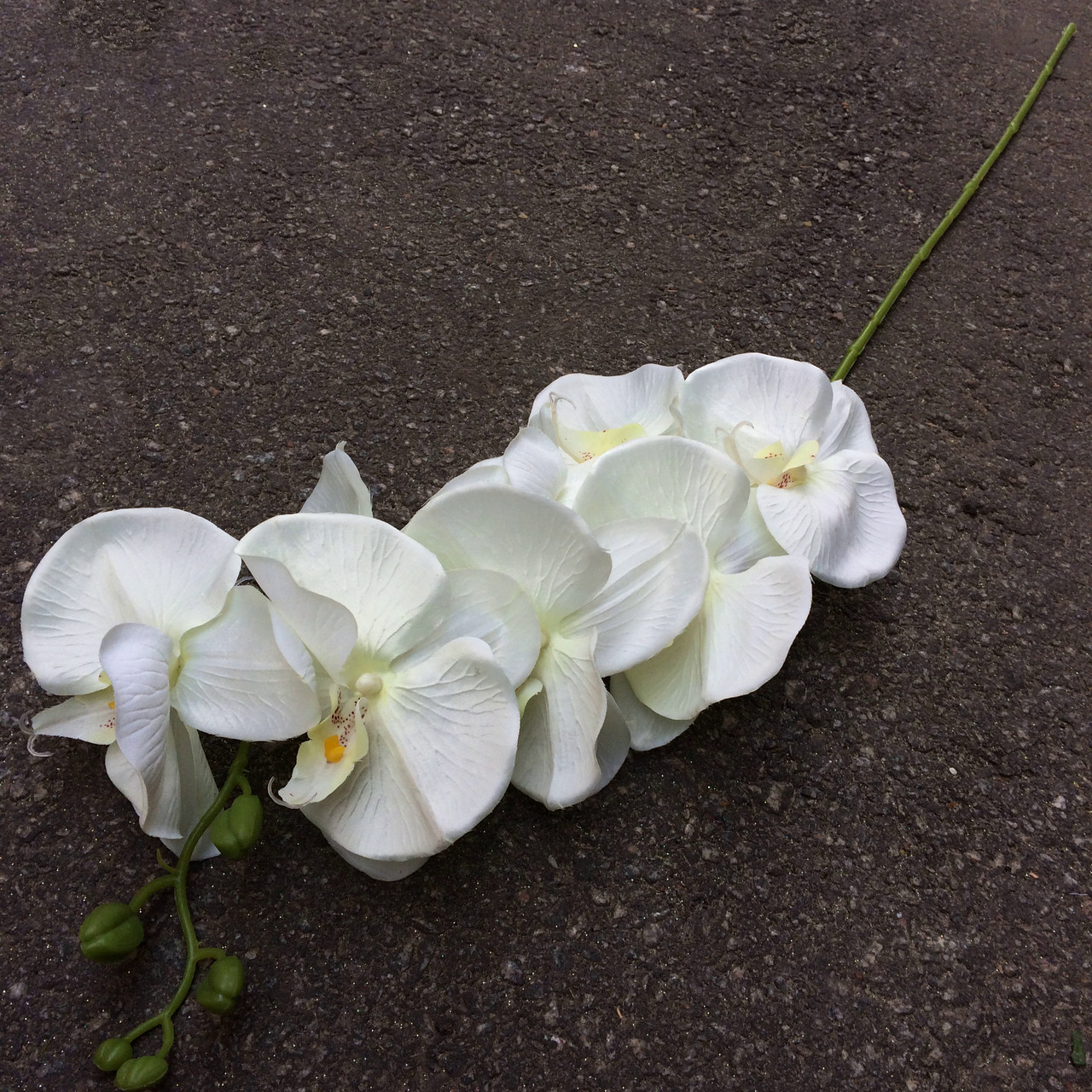 Орхідея гілка фаленопсис світла сатин 105 см, фото 1