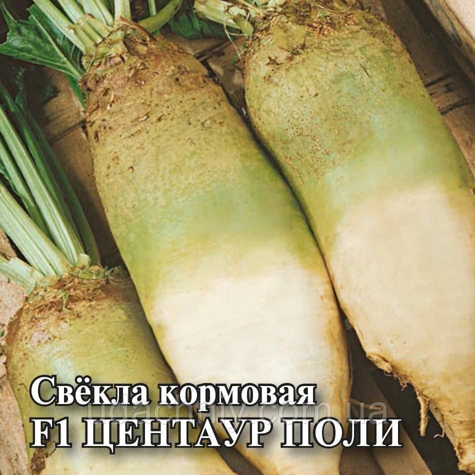 Насіння вагове кормових буряків Центаур Полі, Польща 250г