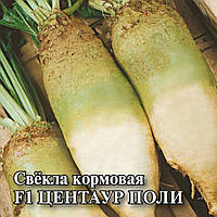 Насіння вагове кормових буряків Центаур Полі, Польща 100г
