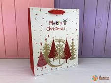 Пакет паперовий Новий Рік