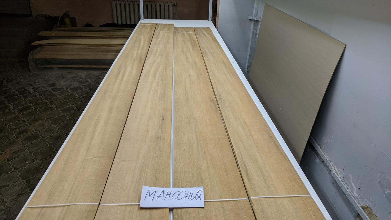 Шпон Горіх Африканський (Мансонія), фото 1