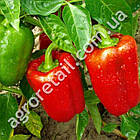 Перець Іспанський 20 шт Service plus, фото 2