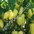 Перець Лота F1 8 шт Enza Zaden, фото 2