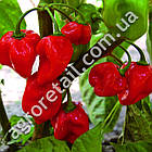 Перець Хабанеро червоний 8 шт Satimex, фото 2