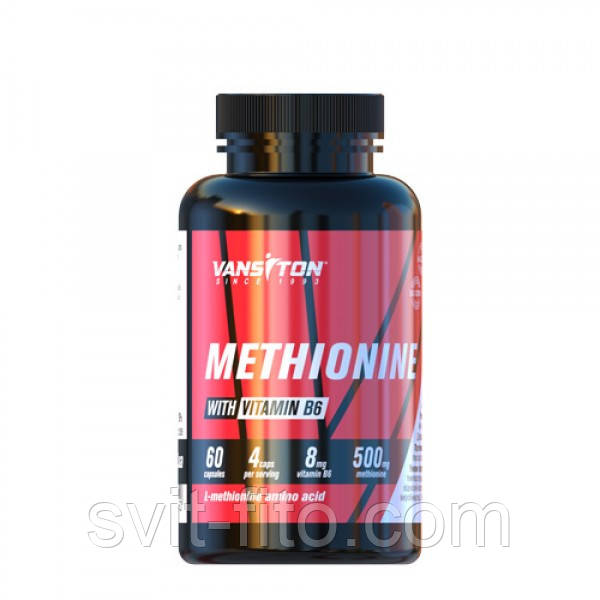 Метіонін 60капс