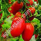 Томат Інкас F1 100 шт Nunhems, фото 2