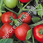 Томат Морелія F1 10 шт Enza Zaden, фото 2