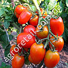 Томат Ріо Гранде 0.5 г CSN Semences, фото 2