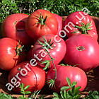 Томат ВП-1 F1 8 шт Vilmorin, фото 2