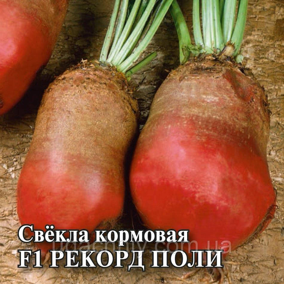 Насіння вагове кормового буряка Рекорд Полі, Польща 1кг