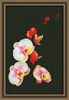 "Розовая орхидея" Юнона. Набор для вышивки крестом (118)