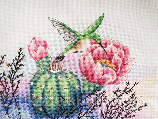 Купить "Колибри и кактус" Classic Design. Набор для вышивания крестом ...