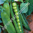 Горох Дінга 20 г Традиція, фото 2