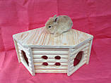 Будиночок для кролика, фото 3