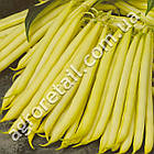 Квасоля спаржева Золота зірка 10 шт Традиція, фото 2