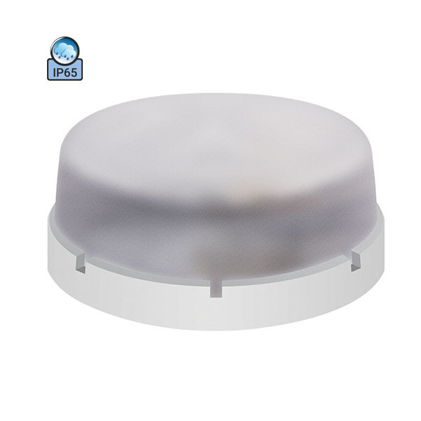 Світильник стельовий ERKA 1065 IP65 прозорий/білий, фото 1