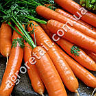 Морква Натофи 10 г Традиція, фото 2