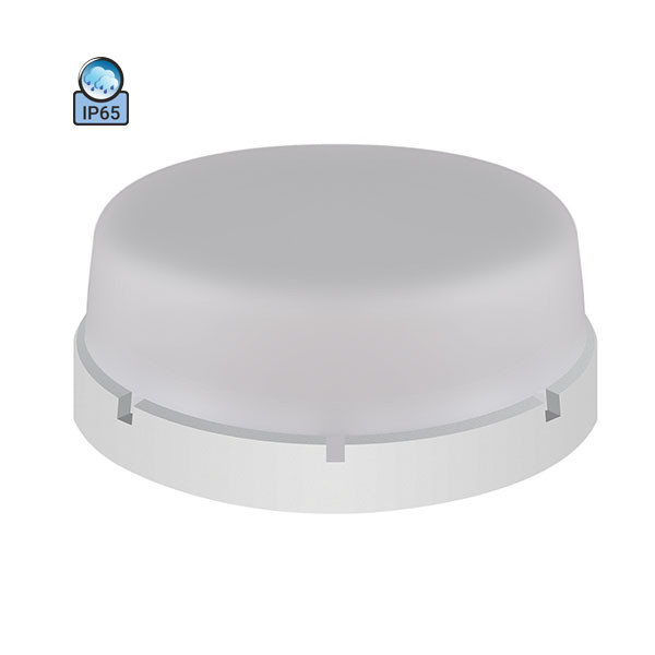 Світильник стельовий ERKA 1065-B IP65 матовий/білий