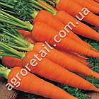 Морква Червона Бояриня 2 м Традиція, фото 2