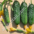 Огірок Льоша F1 0.5 г Традиція, фото 2