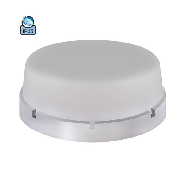 Світильник стельовий ERKA 1065-PB IP65 матовий/прозорий, фото 1