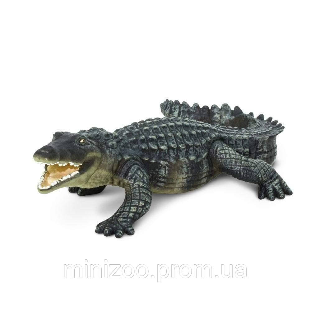 Safari Ltd 15 8 5 4 5