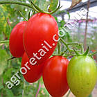 Томат Даліда 5 г Satimex, фото 3