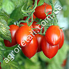 Томат Рома 5 р Традиція, фото 2