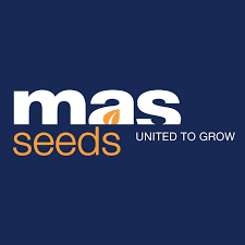 Mas seeds