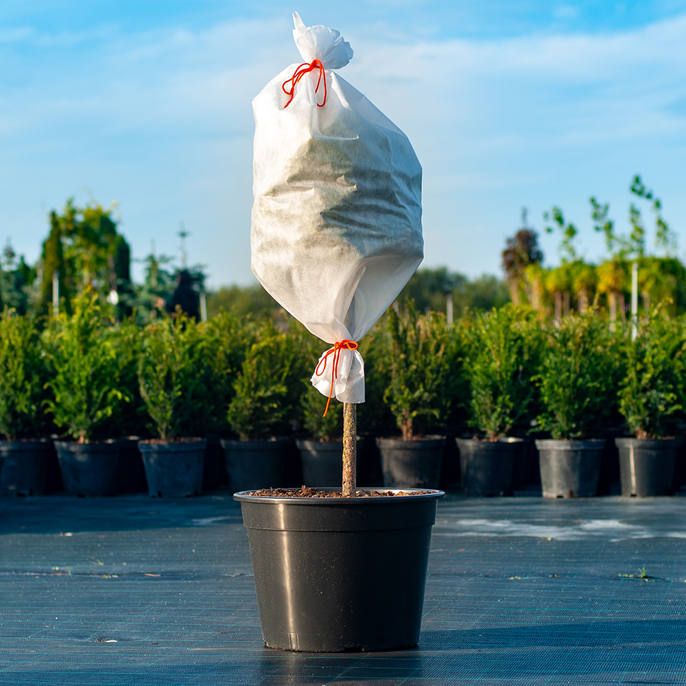 Чохол для захисту рослин Gardenlife / Гарденлайф "Рукав"