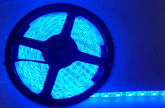 Світлодіодна стрічка 5м колір синій D