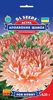 Семена Астры Аполония Шамоа (0.25г), For Hobby, TM GL Seeds