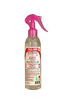 АХД 2000 експрес з тригером 250мл засіб для гігієни шкіри