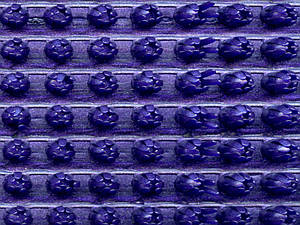 Брудозахисне щетинисте покриття Польща Фіолетовий металік