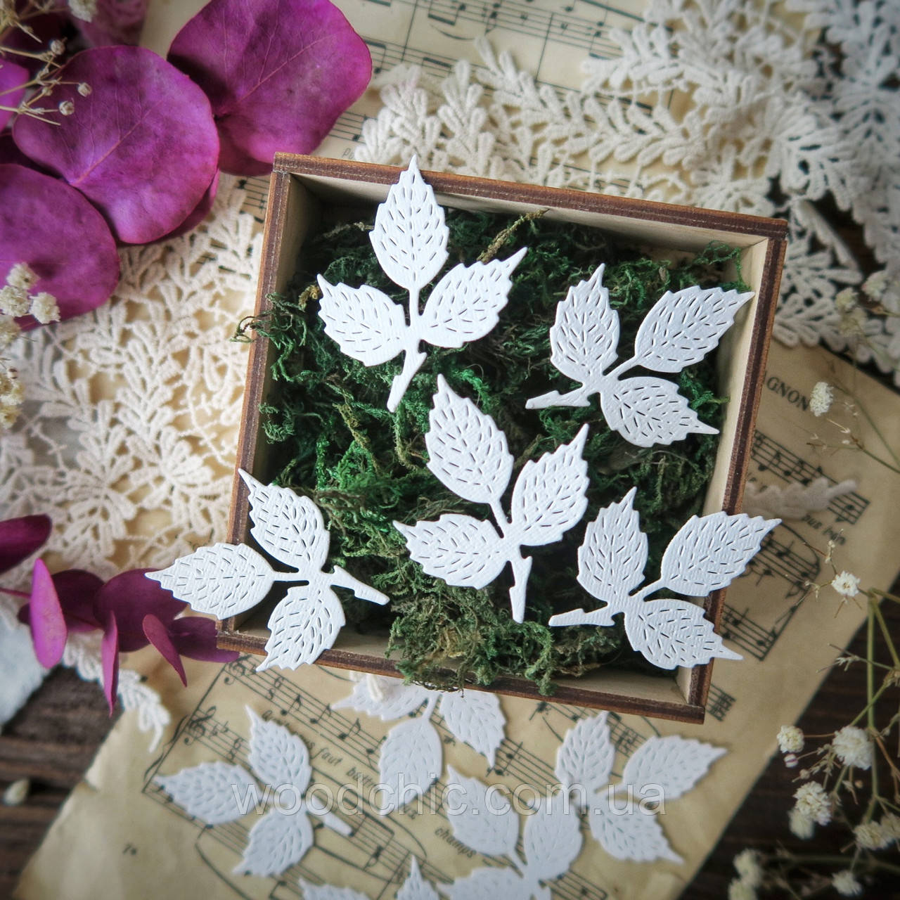 Вирубка Набір Гілка троянди 1, фото 1