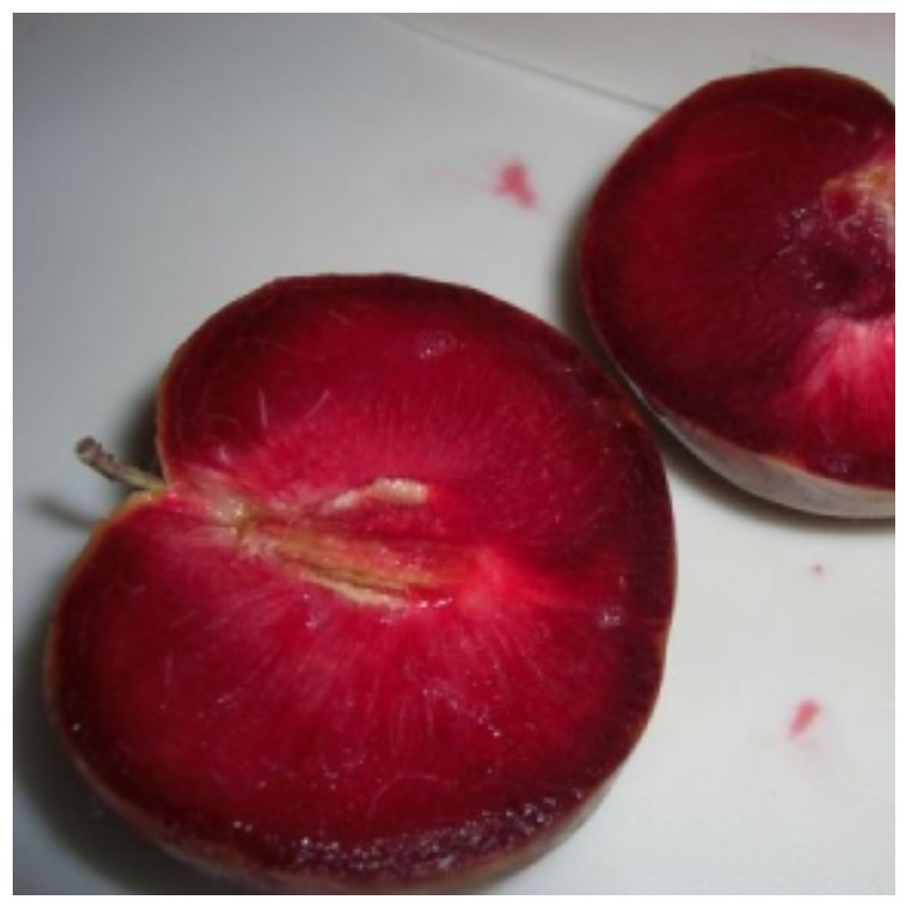 Слива-абрикос гібрид Плумкот Априслі (піздній)
