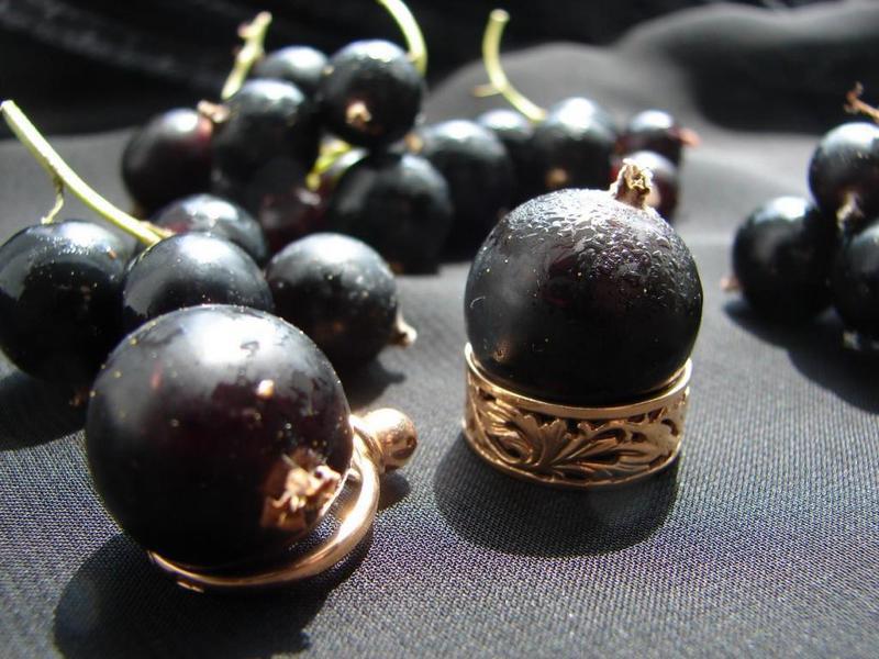 Чорна смородина Фараон, фото 1