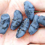 Жимолость Бахчарський Велитень (саджанці), фото 3