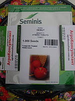 Насіння томата Дебют F1 (Seminis), 1 000 насінин — ранньостиглий (57-60 днів), детермінантний, середньорослий