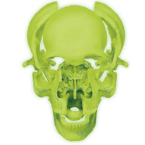 Купить Анатомический конструктор 4D Master Череп человека светящийся ...
