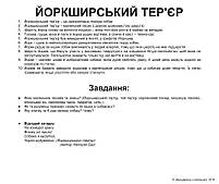 Картки Домана Породи собак з фактами 20 карток на українській мові, фото 4