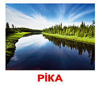 Картки Домана Природа з фактами 20 карток на українській мові, фото 2