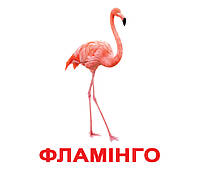 Картки Домана Птахи з фактами 20 карток на українській мові, фото 2