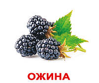 Картки Домана Ягоди з фактами 20 карток на українській мові, фото 2