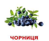 Картки Домана Ягоди з фактами 20 карток на українській мові, фото 3