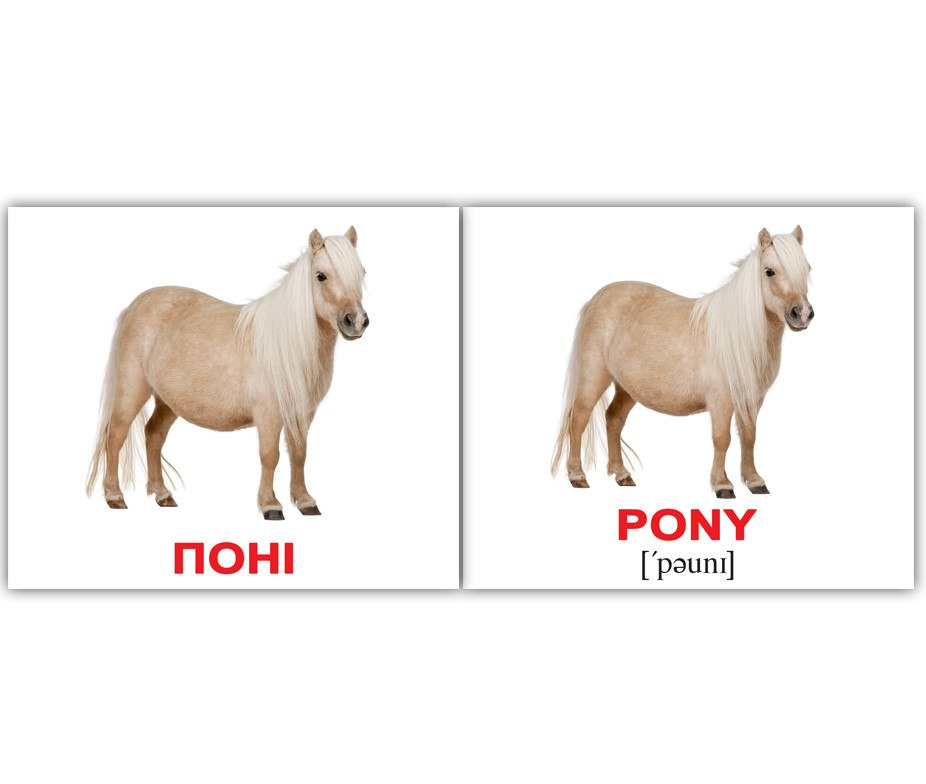 Картки Домана Свійські тварини/Domestic animals 40 карток