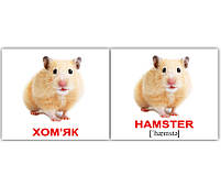 Картки Домана Свійські тварини/Domestic animals 40 карток, фото 4